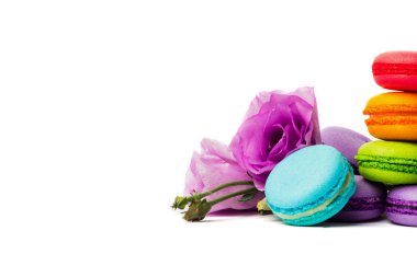 Pasta macaron veya izole beyaz, renkli Badem Çerezler, pastel renkler, Menekşe bahar çiçekleri acıbadem kurabiyesi. Metin için yer kopyalayın.
