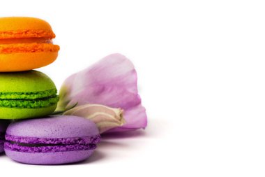 Pasta macaron veya izole beyaz, renkli Badem Çerezler, pastel renkler, Menekşe bahar çiçekleri acıbadem kurabiyesi. Metin için yer kopyalayın.