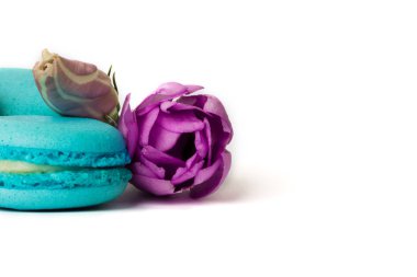 Pasta macaron veya izole beyaz, renkli Badem Çerezler, pastel renkler, Menekşe bahar çiçekleri acıbadem kurabiyesi. Metin için yer kopyalayın.