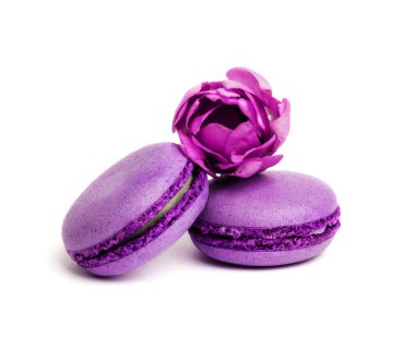 Pasta macaron veya beyaz, violet Badem Çerezler üzerinde pastel renkler, Menekşe bahar çiçekleri izole acıbadem kurabiyesi. Metin için yer kopyalayın.