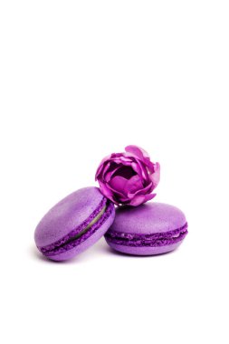 Pasta macaron veya beyaz, violet Badem Çerezler üzerinde pastel renkler, Menekşe bahar çiçekleri izole acıbadem kurabiyesi. Metin için yer kopyalayın.