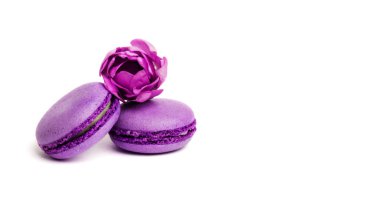 Pasta macaron veya beyaz, violet Badem Çerezler üzerinde pastel renkler, Menekşe bahar çiçekleri izole acıbadem kurabiyesi. Metin için yer kopyalayın.