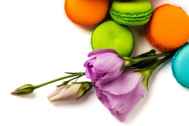 Pasta macaron veya izole beyaz, renkli Badem Çerezler, pastel renkler, Menekşe bahar çiçekleri beyaz plaka acıbadem kurabiyesi. Metin için yer kopyalayın. Üstten Görünüm.