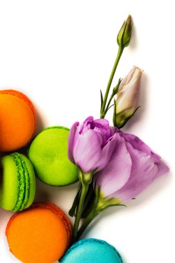 Pasta macaron veya izole beyaz, renkli Badem Çerezler, pastel renkler, Menekşe bahar çiçekleri acıbadem kurabiyesi. Metin için yer kopyalayın. Üstten Görünüm.