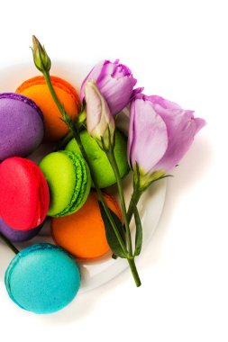 Pasta macaron veya izole beyaz, renkli Badem Çerezler, pastel renkler, Menekşe bahar çiçekleri beyaz plaka acıbadem kurabiyesi. Metin için yer kopyalayın. Üstten Görünüm.