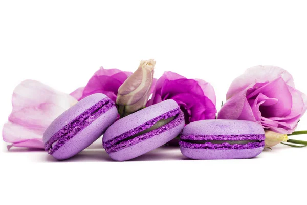 Macaron Bolo Macaroon Isolado Branco Biscoitos Amêndoa Violeta Cores Pastel — Fotografia de Stock