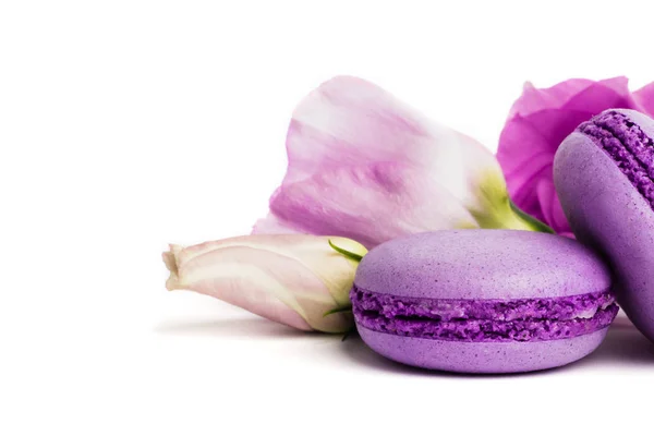 Gâteau Macaron Macaron Isolé Sur Blanc Biscuits Aux Amandes Violettes — Photo