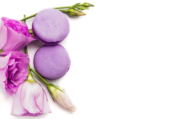 Kuchen Macaron Oder Makronen Isoliert Auf Weißen Violetten Mandelkeksen Pastellfarben — Stockfoto