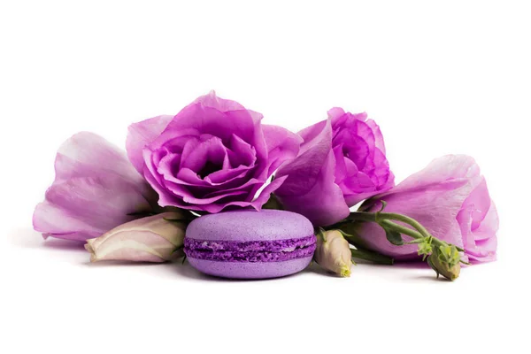 Cake Macaron Macaroon Isolated White Violet Almond Cookies Pastel Colors — Stock Photo, Image