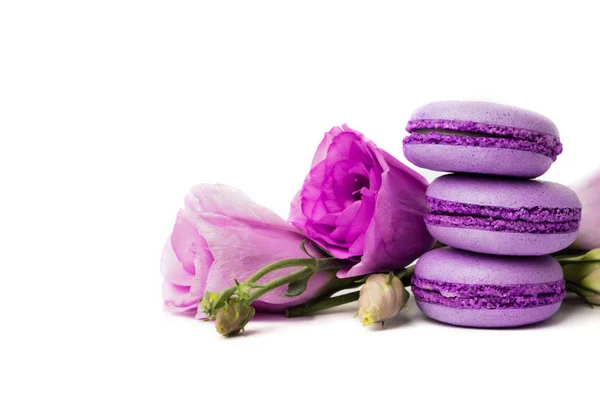 Gâteau Macaron Macaron Isolé Sur Blanc Biscuits Aux Amandes Violettes — Photo