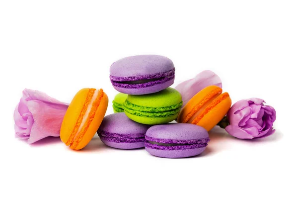 Cake Macaron Macaroon Isolated White Colorful Almond Cookies Pastel Colors — Stock Photo, Image