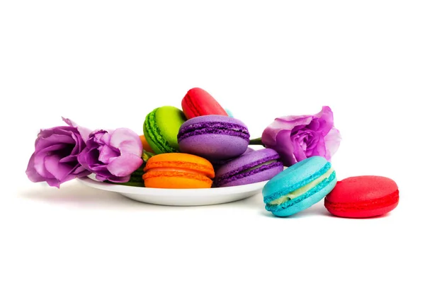 Cake Macaron Macaroon White Plate Isolated White Colorful Almond Cookies — Stock Photo, Image