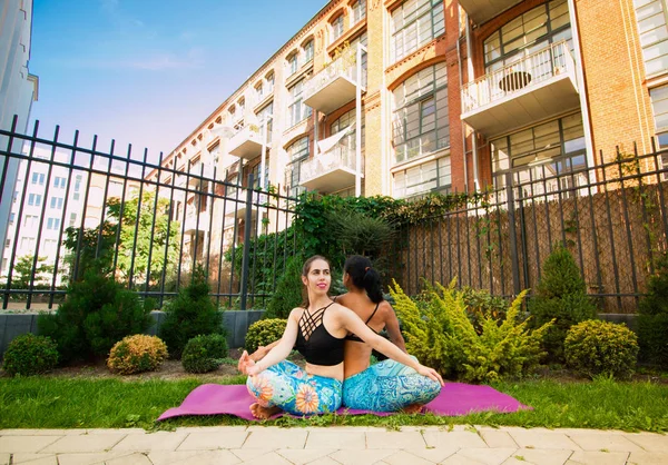 Dos Mujeres Jóvenes Practicando Yoga Aire Libre Yoga Meditando Estirando — Foto de Stock