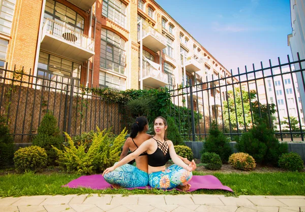 Dos Mujeres Jóvenes Practicando Yoga Aire Libre Yoga Meditando Estirando — Foto de Stock