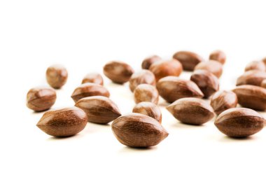 Pekan somun beyaz izole kabuk içinde temizlenmiş değil.