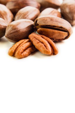 Pekan somun beyaz izole kabuk içinde temizlenmiş değil.