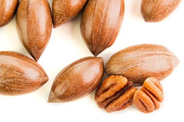 Nueces de pacana no limpiadas en la cáscara aisladas en blanco . —  Fotos de Stock