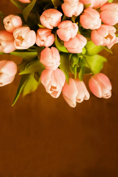 El ramo de tulipanes rosados (coral) sobre fondo pastel — Foto de Stock