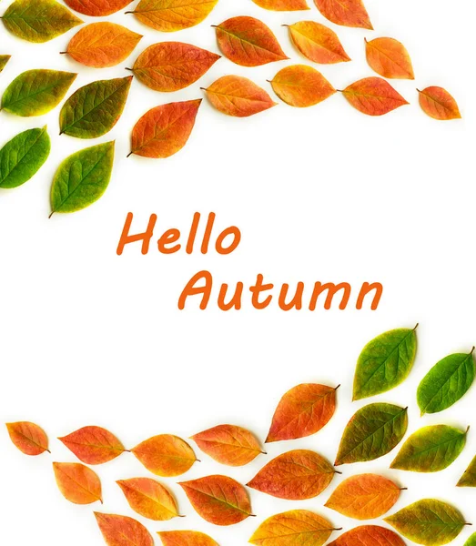 Vícebarevné suché podzimní listy na bílém pozadí. — Stock fotografie
