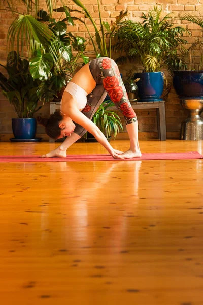 Jalá Mujer joven practicando yoga en estudio . — Foto de Stock