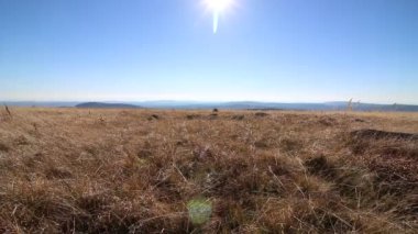 Mavi gökyüzü ve dağlar ile altın bir alanın arka planda kuru sivri. Mavi gökyüzünde parlayan güneş. Dağlarda sonbahar manzara.