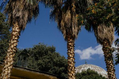 Istanbul, Türkiye - Eylül 2018: Üç palmiyeler Camii kubbe karşı.