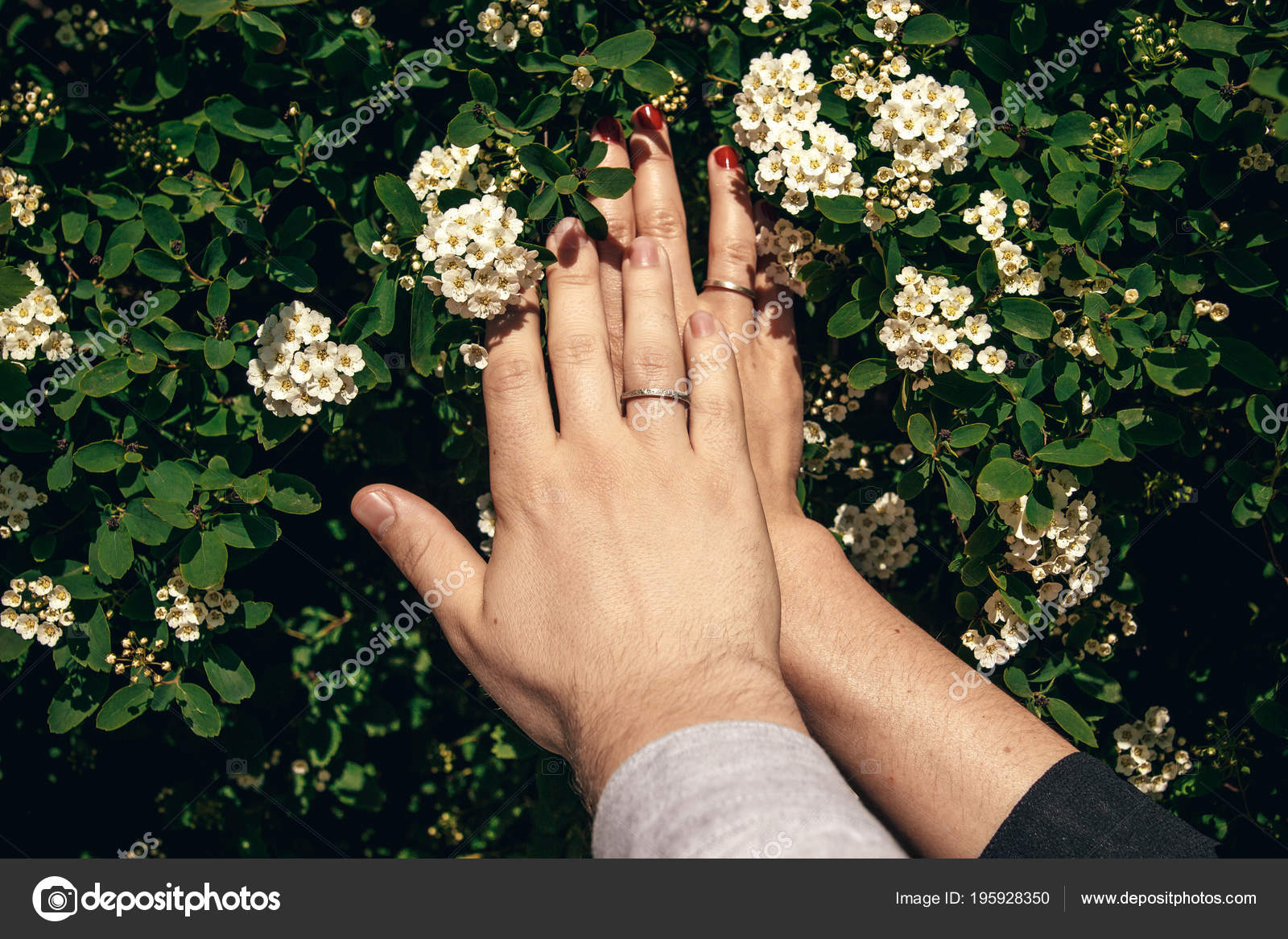 Couple Wedding Rings Holding Hands