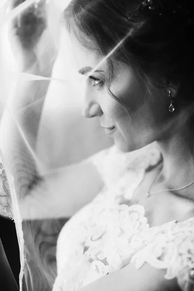 快乐的时尚新娘看着面纱 文本的空间 华丽的新娘准备和摆在早晨 婚姻观念 黑白相间 — 图库照片