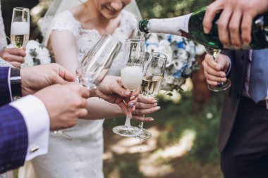 Yeni evliler, Gelin ve damat nedime ve şampanya açık havada içki sağdıç ile birlikte birkaç portre, düğün kutlama arkadaş grubu eller 