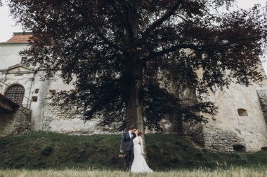 güzel güzel gelin ve damat öpüşme ve güneşli parkta yürüyüş. mutlu evlilik çift eski kale, yeşil bahçesinde sarılma. mutlu romantik anlar. kaçış kavramı