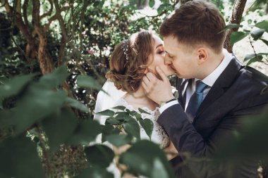 güzel güzel gelin ve güneşli bahar Park yeşil yaprakları arasında öpüşme ve çiçek açan damat.