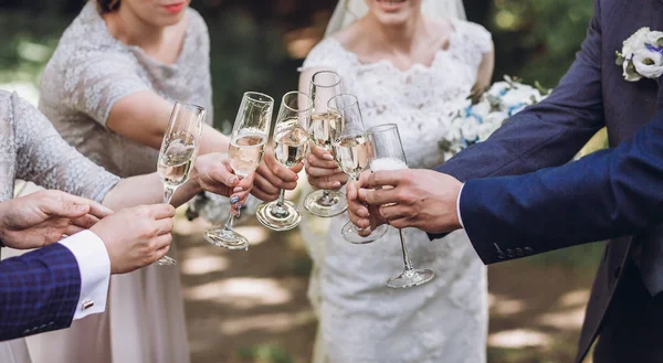 Mutlu Grup Şampanya Ile Toasting Insan Bardak Şampanya Tutarak Prangalara — Stok fotoğraf