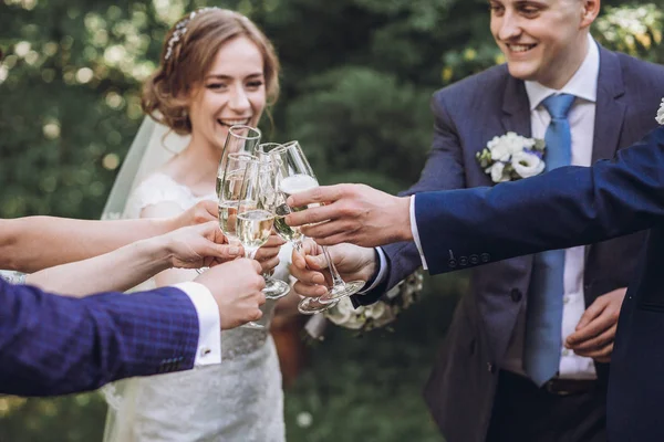 Feliz Grupo Personas Brindando Con Champán Manos Sosteniendo Copas Champán — Foto de Stock