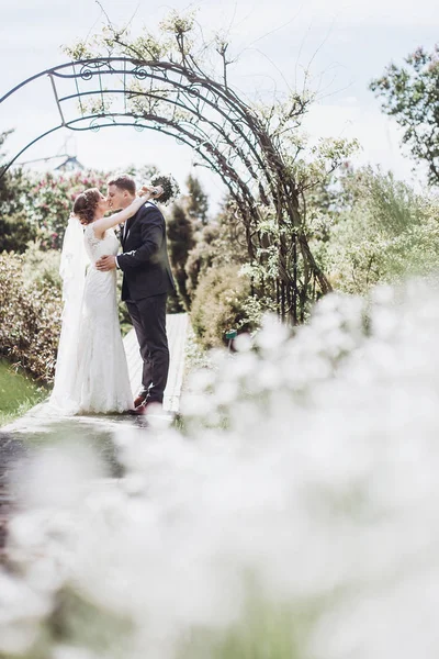 Schöne Wunderschöne Braut Und Bräutigam Küssen Sich Sonnigen Frühlingspark Und — Stockfoto