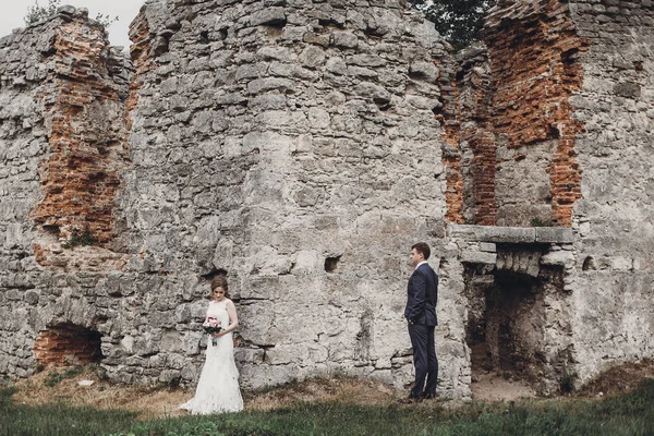 Hermosa Novia Hermosa Novio Besándose Feliz Pareja Boda Abrazos Abrazos — Foto de Stock