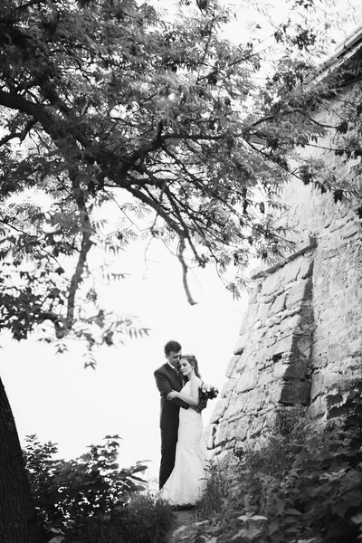美しい豪華な花嫁と花婿のキスします 幸せな結婚式カップル ハグと古城で抱きしめます 幸せなロマンチックな瞬間 駆け落ちのコンセプトです 官能的な愛 テキストのためのスペース — ストック写真