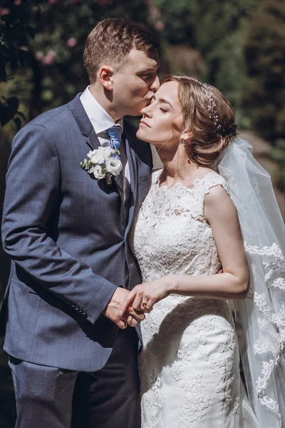 Lindos Recién Casados Abrazando Besándose Parque Verano —  Fotos de Stock