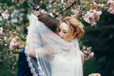 şık gelin ve damat kucaklayan ve Park manolya çiçekleri arasında peçe altında öpüşme. tutkulu lüks düğün çifti sarılma. Romantik duygusal an.