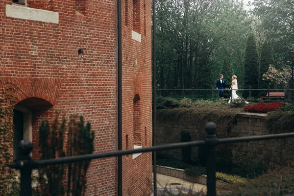豪華な結婚式のカップルが光の古い建物でポーズします スタイリッシュな花嫁と花婿を探して 街を受け入れます ロマンチックな官能的な瞬間 男を探している女性 — ストック写真