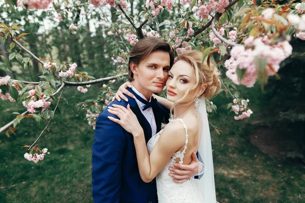 スタイリッシュな花嫁と花婿のモクレンの花の公園を受け入れます 情熱的な豪華な結婚式のカップルがハグします ロマンチックな官能的な瞬間 — ストック写真