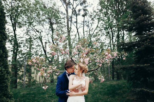 Stijlvolle Bruid Bruidegom Omarmen Kussen Park Onder Magnolia Bloemen Gepassioneerde — Stockfoto