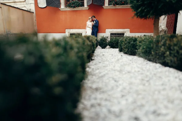 スタイリッシュな花嫁と花婿の街を受け入れます 豪華な結婚式のカップル古い建物の壁で抱き締めます ロマンチックな官能的な瞬間 白いドレスの女性をキスをする男性 創造的なビュー — ストック写真