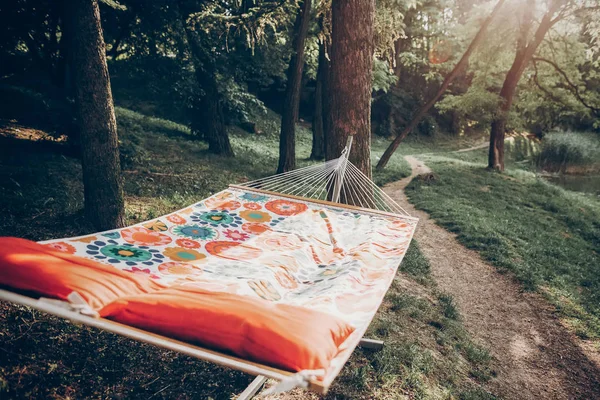 Berwarna Warni Gaya Hammock Perjalanan Musim Panas Taman Cerah Beristirahat — Stok Foto