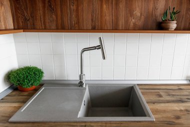 Ahşap ahşap modern musluk ile şık Granit Lavabo. ışık gri mutfak iç modern dolaplar ve yeşil bitkiler ile. İskandinav tarzında Tasarla