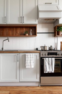 Şık gri mutfak iç modern kapılar ve paslanmaz çelik araçlarla yeni ev. İskandinav tarzı mutfak tasarımı. yeşil bitkiler dekor, fırın, lavabo. yemek yemek