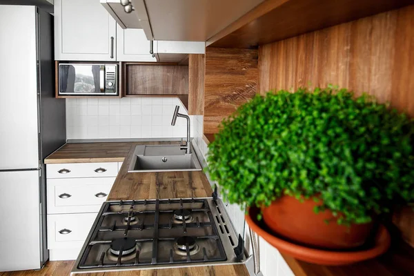 在时尚的浅灰色厨房内部与现代橱柜和不锈钢用具和绿色植物的看法 斯堪的纳维亚风格的设计 现代炊具 木制台面 — 图库照片