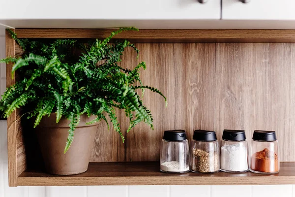 ペッパーミルとスパイス キッチンに緑の植物と木の棚 食品を調理します スカンジナビア風のスタイリッシュなキッチン インテリア デザイン — ストック写真