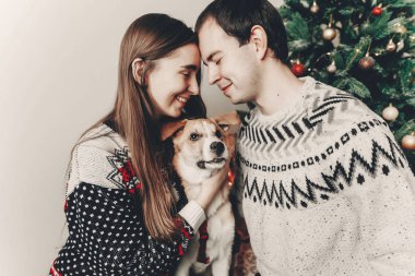 şık hipster iki köpek ile sarılma ve Noel ağacı Festival room.cute tatlı anlarda gülümseyen kazak içinde. mutlu Noeller ve mutlu yeni yıl kavramı. İyi Bayramlar