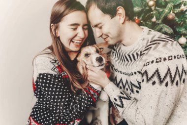 köpekle oynamayı ve Noel ağacı şenlikli odada gülümseyen kazak şık hipster çift. atmosferik anlar. mutlu Noeller ve mutlu yeni yıl kavramı. İyi Bayramlar