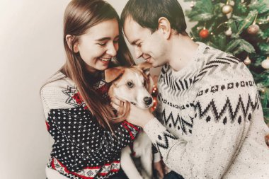 şık hipster iki köpek ile sarılma ve Noel ağacı Festival room.cute tatlı anlarda gülümseyen kazak içinde. mutlu Noeller ve mutlu yeni yıl kavramı. İyi Bayramlar